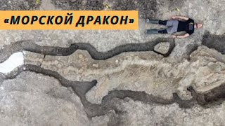 В Великобритании нашли останки крупнейшего в стране древнего «морского дракона»