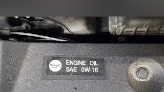 What Type of Oil Goes Into a 2019 Toyota RAV4?