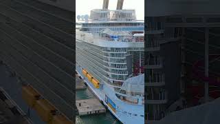 Wonder of the Seas cruise ship stern (Palma de Mayorca)