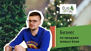 Бизнес на продаже елок. Как построить успешный бизнес по продаже елок?