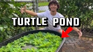 PET TURTLES get a POND!?