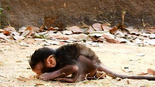 EMOTIONAL SADNESS AND HUNGRY...PITIFUL CHUBBY BABY THONA GOT HUNGRY BECAUSE MUM ABANDONED.