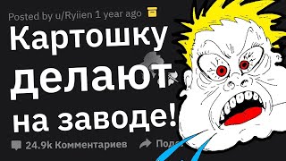 Самый ТУПОЙ Спор в Твоей Жизни