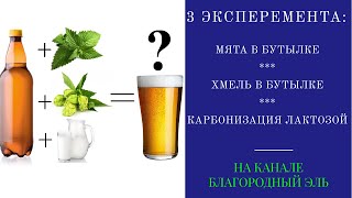 Тройной эксперимент: пиво с мятой, сухое охмеление в бутылке, карбонизация лактозой.