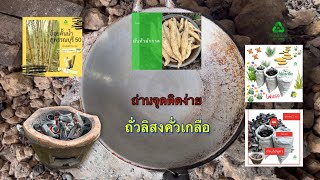 ถั่วคั่วโรยเกลือ #ถ่านจุดติดง่าย #standalone2021 #charcoal #ถ่านปิ้งย่าง #ถ่าน #ลพบุรี