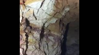 A brief tour in a tunnel at The Comet opal mine in Koroit