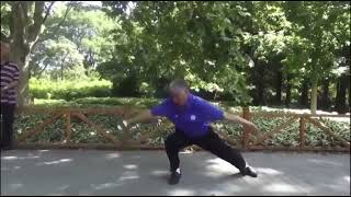 Cheng Style Bagua 程式八卦 - Saber by Master Liu Jingrui 敬儒师