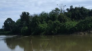 MANCING MANIA SPOT GACOR