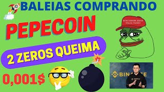 GANHEI R$450,00 COM PEPE COIN, VALE A PENA COMPRAR? NOVA SHIBA INU