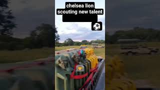 football scouting talent . chelsea football club