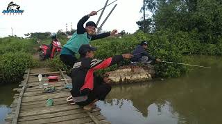 Spot Terbaru!! Mancing Ikan Belanak Pakai Umpan Tepung Terigu Di Dekat PLTU