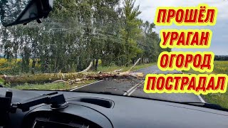 #88 Из Германии в Россию/ Ураган был всю ночь, что уцелело ?!!!