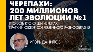 Игорь Данилов: "Кто есть кто среди черепах: краткий обзор современного разнообразия"