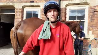 Matthew Clark on How to Groom and Wash a Racehorses Tail