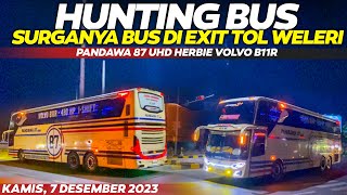 SURGANYA BUS MALAM YA ADA DISINI❗❗HUNTING DI EXIT TOL WELERI RAMAI BANGET PUSATNYA BUS MALAM