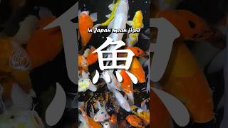 Why is 魚 the kanji for fish 🐠? Etymology and origin of the hanzi for fish 鱼 🐟!