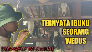 KOMEDI INDRAMAYU || TERNYATA IBU SAYA SEORANG WEDUS !!!