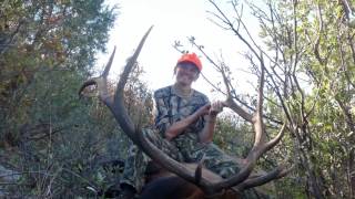 Leesha Crookston - Colorado bull elk 2014 - public land