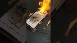 Slowmotion burning matches #shorts #matchbox #match #satisfying #asmr #heat #burn