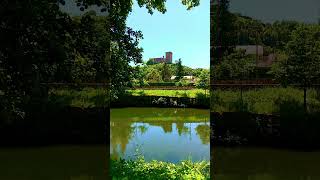 🇪🇸 🌳 San Vicente del Pino (Monforte de Lemos) #Senderismo #Galicia #España #Shorts