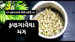 મગને ફણગાવાની એકદમ સાચી રીત || ફણગાવેલા મગ || moong sprout || food shiva