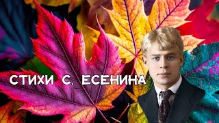 🍁Отговорила роща золотая, 👏 Сергей Есенин (1924). Отрывок, читает Вита Новикова.🏡🌳