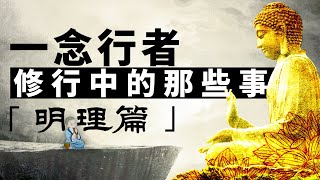 修行中的那些事「明理篇」。一念行者講念頭、生命、菩薩、佛、生死、輪回、轉世、六道、西方極樂世界、三世、眾生、幻象、苦、因果、無常、業力、隨緣、無念