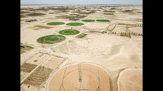 Algérie , Une terre inconnue ... en 4K (Drone Mavic Pro)