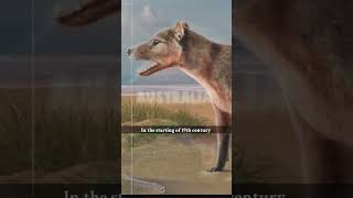 Last Video Of Extinct Animals | #shorts