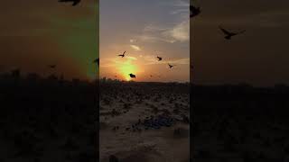 Jannatul Baqi (Madinah)2018