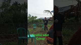 tradisi adat rejang