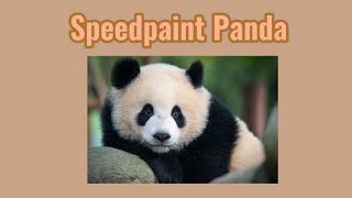 Speed painting a Panda | New Theme, New intro, ect