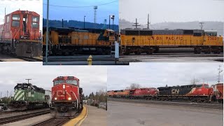 Week of trains P3, CN dash 8, FXE, CP, CN, UP 6706, CN C44-9WL, UP triclops,and BNSF triclops leader