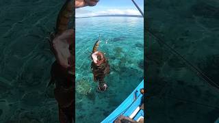 mancing casting spot karang dangkal | Ultraligjt Fishing