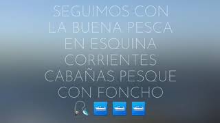 Pesca de dorado  esquina corrientes en cabañas pesque con foncho