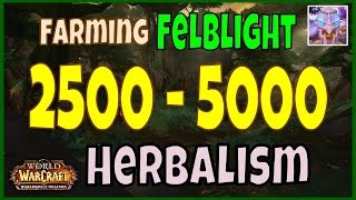 WoW 6.2 Felblight Gold Farming Guide - Herbalism - 2500 to 5000 Gold Per Hour!