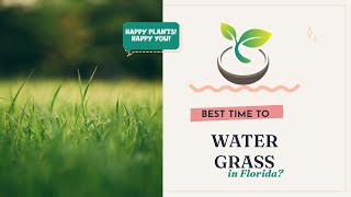 🍀🌸🌿 Best Time to Water Grass in Florida: Discover the Ideal Timing