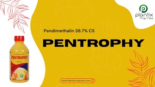 PENTROPHY (Pendimethalin 38.7% CS)