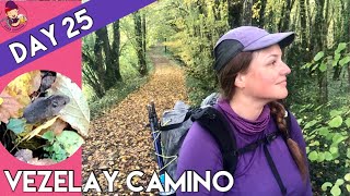 Day 25- Vezelay Camino | Wonderful Lanmary Forest Hiking in the Heart of the Périgord