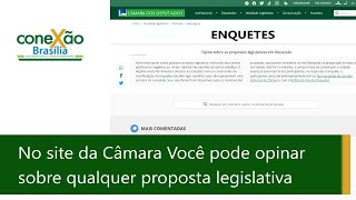 Temas discutidos na Câmara que mais mobilizaram a participação popular em 2022.