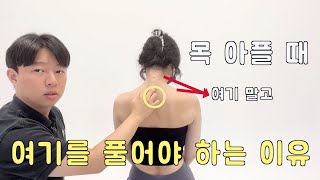 목 아플 때 목 말고 여기를 풀어보세요‼️ / 거북목, 일자목 필수 시청‼️