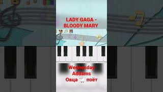 LADY GAGA - BLOODY MARY - Wednesday Addams (овца поёт песню) cover #shorts #ladygaga #wednesday