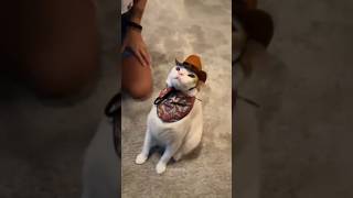 Funny Animals 2024 😂 - Funniest Cats and Dogs video 🐱 🐶 #shorts part 140