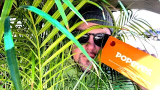 POPEYES PLANTS AND PEOPLE ON THE INTERNET