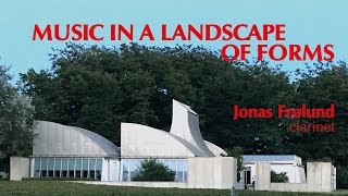 MUSIC IN A LANDSCAPE OF FORMS