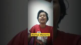 mertua dan menantu