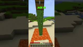 Minecraft How To Escape Crazy Traps At Every Age😨(INSANE)😍 #minecraft #shorts