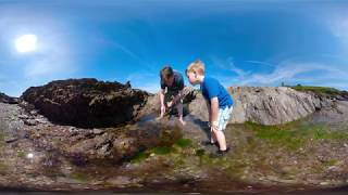 360/VR Video - Rockpooling at Wembury