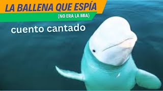 La ballena que espía, ¡no era la mía! 🐳