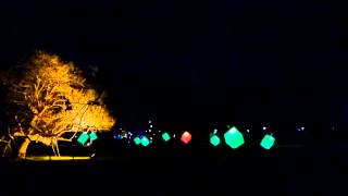 Winterlichter Luisenpark Mannheim 2015